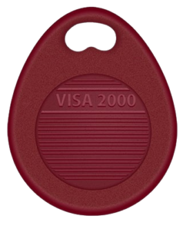 visa 2000